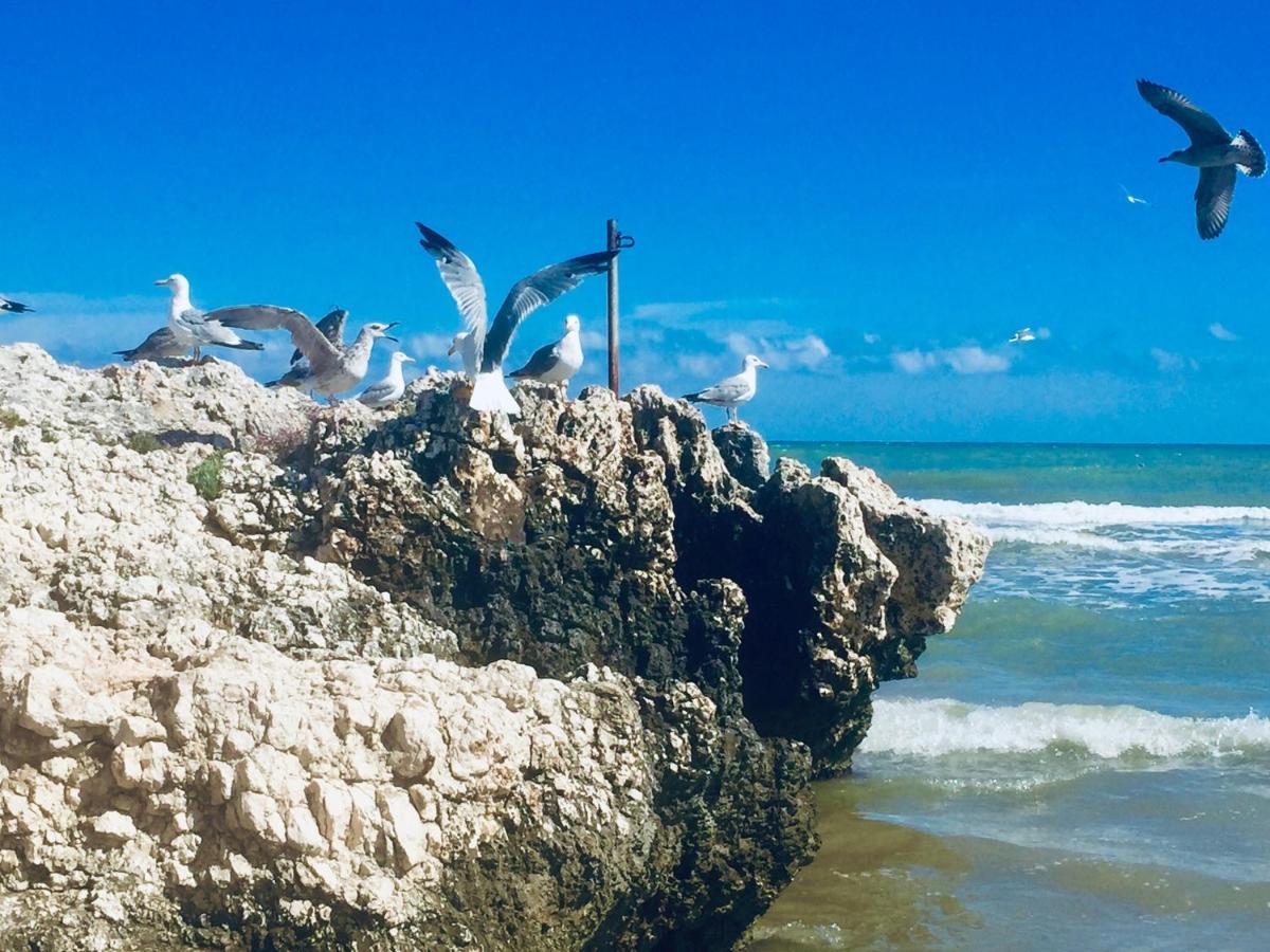 Appartamento Il Gabbiano, Attico Con Terrazzo Vista Mare *
